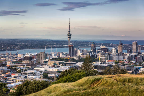 istock Auckland city view 941435836