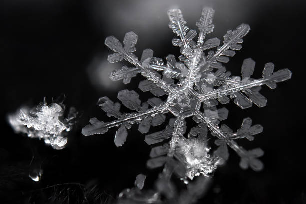 Snowflake - Macro A snowflake on a black glove. very close crystal photos stock pictures, royalty-free photos & images