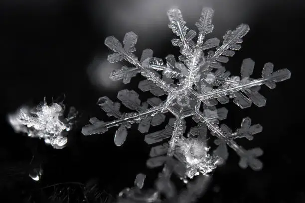Photo of Snowflake - Macro