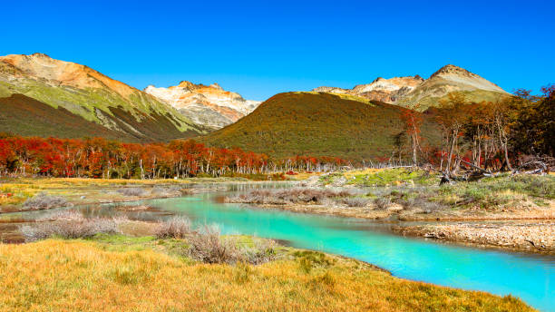 Gorgeous landscape of Patagonia's Tierra del Fuego National Park in Autumn Gorgeous landscape of Patagonia's Tierra del Fuego National Park in Autumn, Argentina, near Ushuaia tierra del fuego province argentina photos stock pictures, royalty-free photos & images