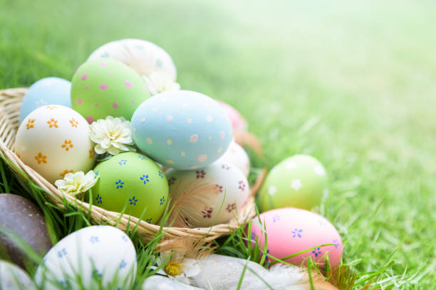 istock Happy easter!  Closeup Colorful Easter eggs in nest on green grass field during sunset background. 941443422