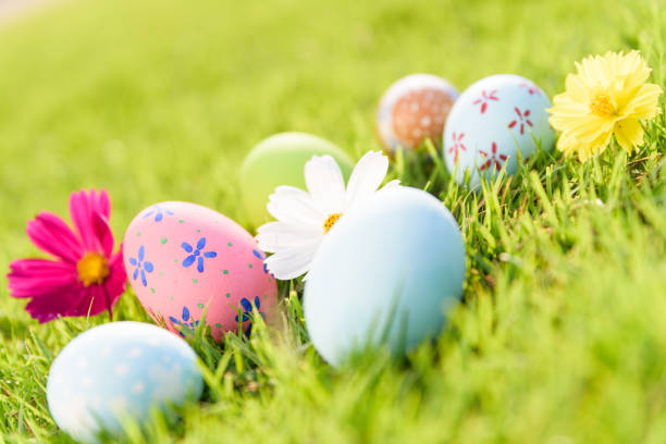 Happy easter!  Closeup Colorful Easter eggs on green grass field during sunset background.