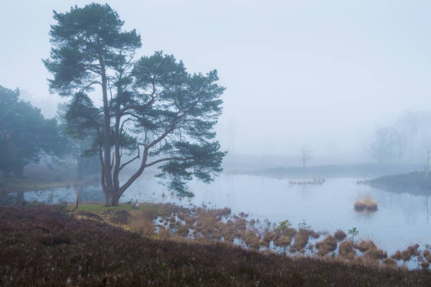 istock A lake, an early winter morning 941443812