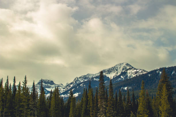 istock Hyalite Canyon Moody 941446044