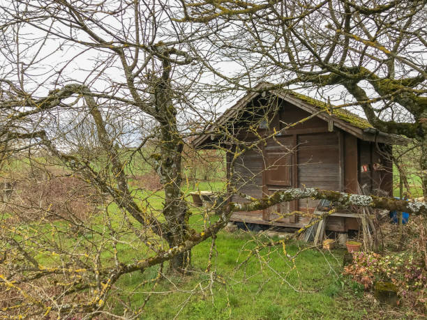 istock Garden house, surrounded by trees, in spring. 941450494