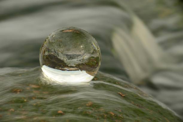 ethereal ball in nature, u.k. - wizards of the coast imagens e fotografias de stock