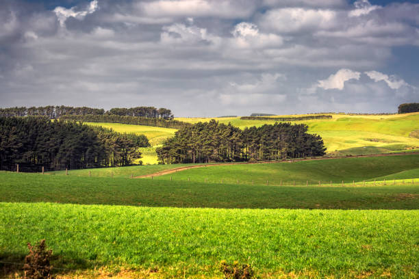istock New Zealand coast 941456436