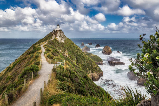 istock New Zealand coast 941456438