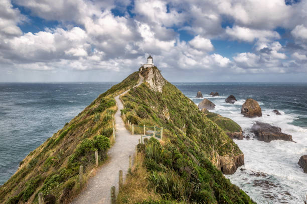 istock New Zealand coast 941456522
