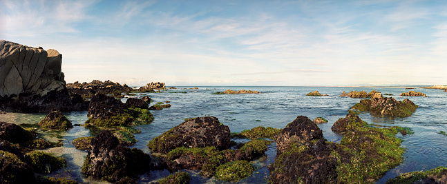 Panoramic coastline of Northern California.
