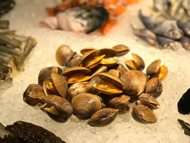 istock Close up of clams on ice 941469484