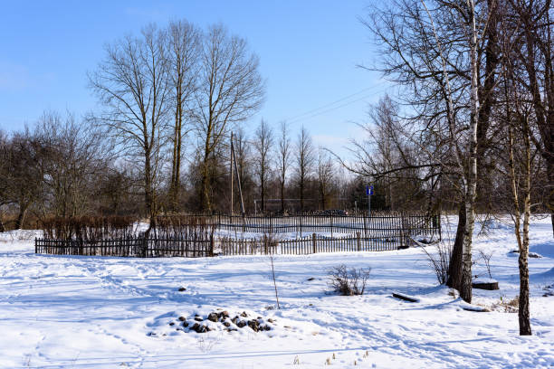 Winter snowy landscape
