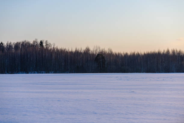 countryside winter landscape in clean winter day. latvia rural area