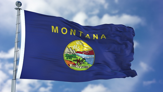Bandera que agita de Montana photo