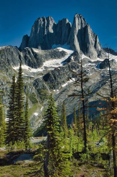 istock Helihiking in British Columbia 941478324