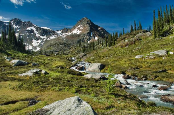istock Helihiking in British Columbia 941478472
