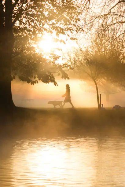 Photo of dog walkers in front of lake in early morning light with trees and shafts of light in the background