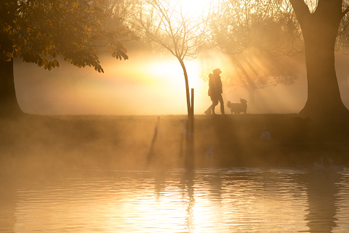 dog walkers in front of lake in early morning light with trees and shafts of light in the background