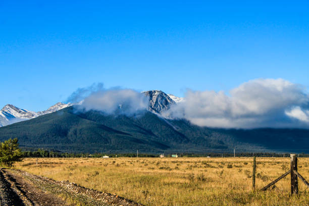 istock From the roadside, Kananaskis Country, Alberta, Canada 941482124