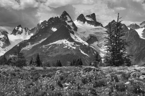 istock Helihiking in British Columbia 941482172