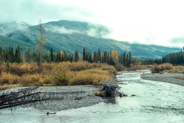 istock From the roadside, Kananaskis Country, Alberta, Canada 941482552