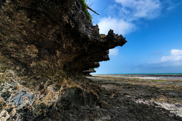istock Low tide on beach in Zanzibar and blue sky 941492298