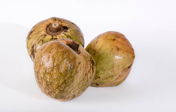 Custard Apple or Ramphal (Annona reticulata} fruits Custard Apple or Ramphal (Annona reticulata} fruits om a white background annona reticulata stock pictures, royalty-free photos & images