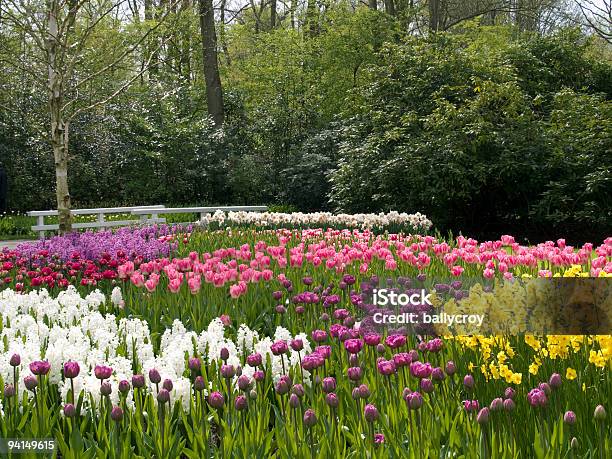 Wiosna W Parku - zdjęcia stockowe i więcej obrazów Fotografika - Fotografika, Krajobraz, Narcyz - Liliowate