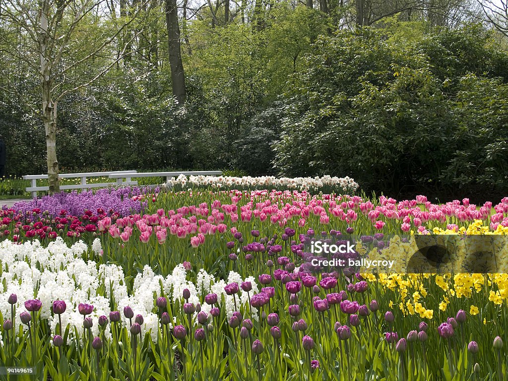 Primavera no parque - Royalty-free Fotografia - Imagem Foto de stock