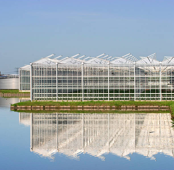 greenhouse stock photo
