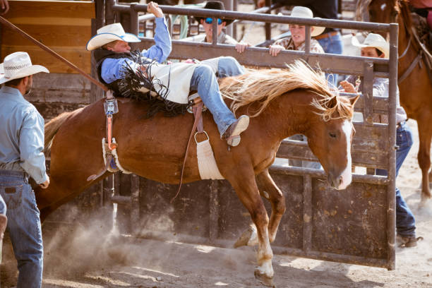 istock Rodeo Action Gate Open Bucking Bronco Cowboy Riding in Arena 941504364