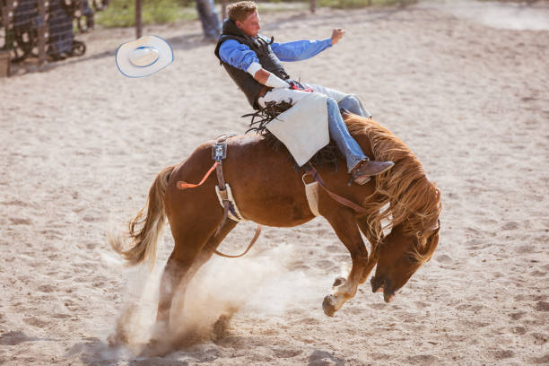 istock Bucking Bronco Cowboy Rodeo Action 941508160