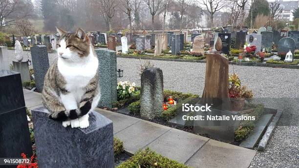 A Graveyard Stock Photo - Download Image Now - Cemetery, Death, Grave