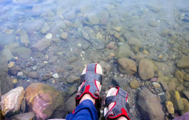 Feet with red and grey fashionable sandles placed on the edge of water with rocks and fishes