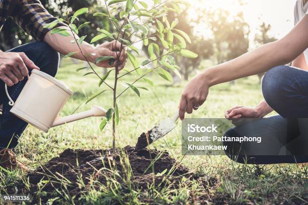 Junges Paar Die Den Baum Während Der Bewässerung Die Pflanzung Eines Baumes Die Bei Der Gartenarbeit Wie World Konzept Natur Umwelt Und Ökologie Zu Retten Stockfoto und mehr Bilder von Baum