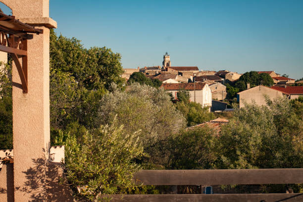 scena rurale nel sud della francia - french culture france vineyard non urban scene foto e immagini stock