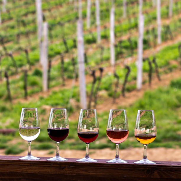 istock Glasses with wine. Red, pink, white wine in glasses. 941512976