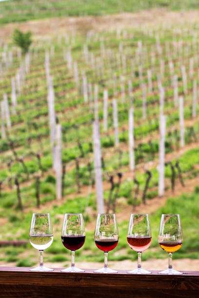 istock Glasses with wine. Red, pink, white wine in glasses. 941513100