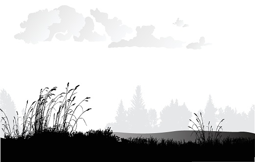 Illustration in black and white of a plain or large meadow