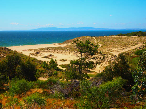 istock Beach in Portugal 941517944