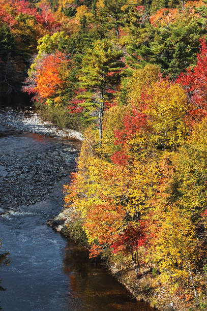 istock Autumn Colours in Cape Breton 941518096