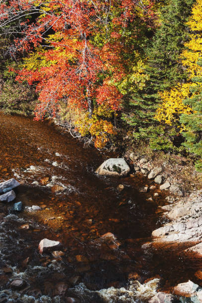 istock Autumn Colours in Cape Breton 941518106