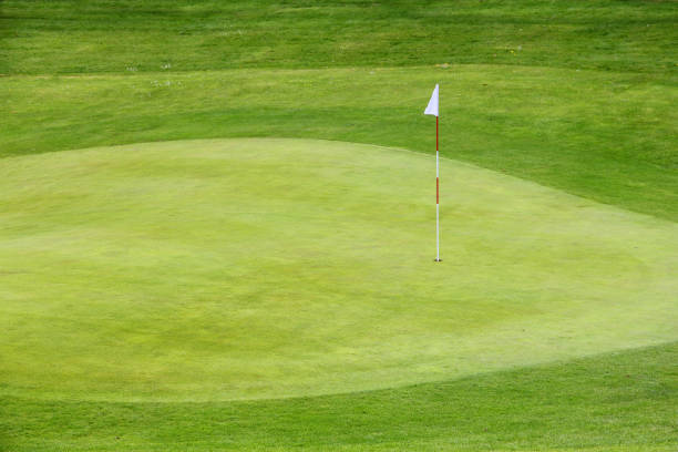 istock Golf flag on the green grass 941520892