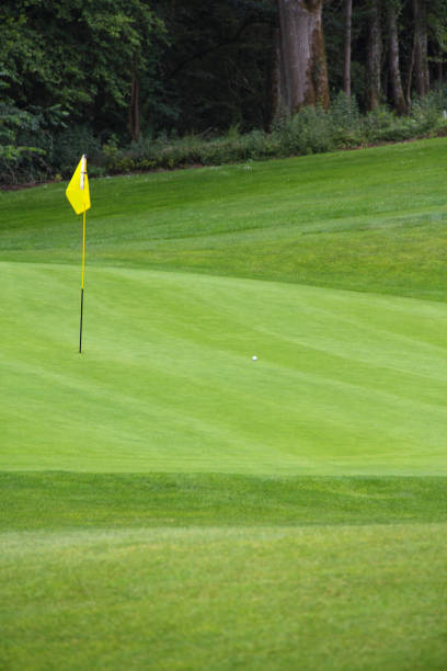 istock Golf flag on the green grass 941520932