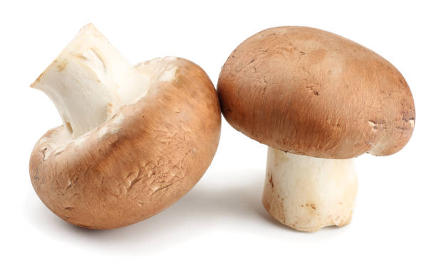 istock Fresh champignon mushrooms isolated on white background 941530044