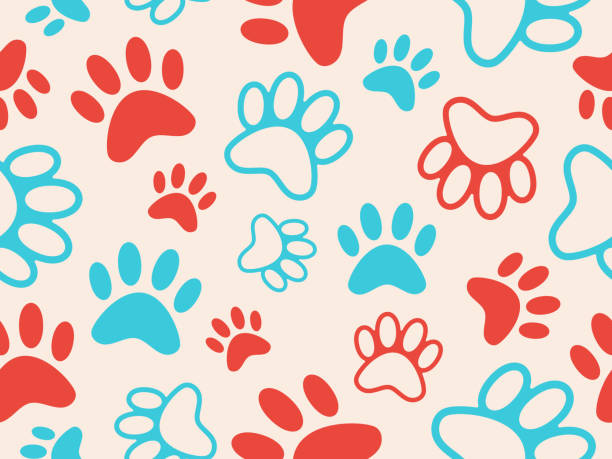 illustrazioni stock, clip art, cartoni animati e icone di tendenza di sfondo di stampa paw senza cuciture - animal color