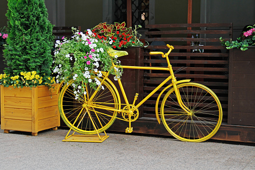 E-Bicycle  in front of the grain field.