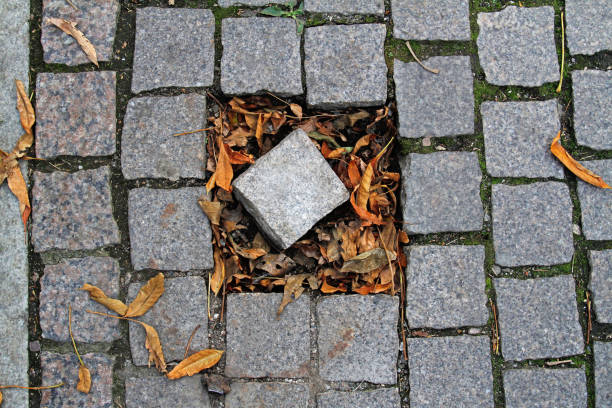 Damaged cobblestone pavement with with a broken out piece, lying in potholes with autumn foliage