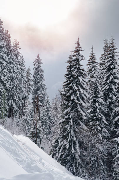 istock Spectacular panorama is opened on mountains, trees covered with white snow, lawn and blue sky with clouds. 941532410