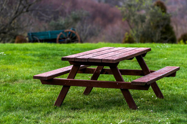 istock Wooden picnic table and bench in garden 941538284
